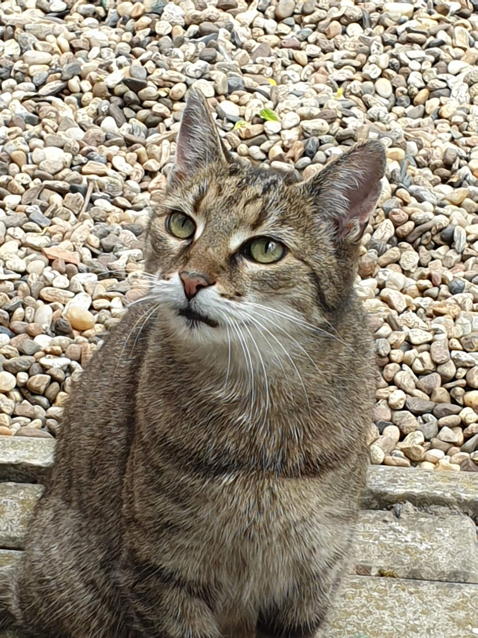 Imagine suplimentară